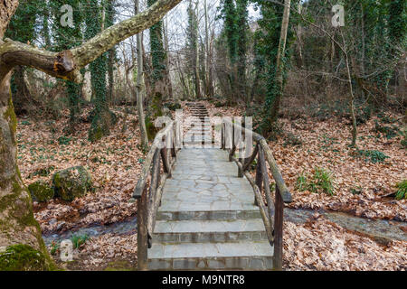 Weg zum Paradies. Ruhe und Stille Treppe zur Natur. Aus der Stadt entkommen. Stockfoto