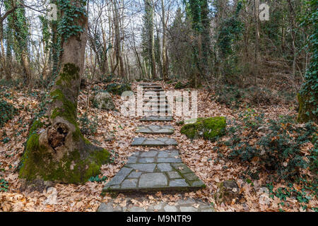 Weg zum Paradies. Ruhe und Stille Treppe zur Natur. Aus der Stadt entkommen. Stockfoto