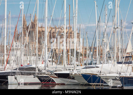 Segelboote und Yachten im Hafen von Palma de Mallorca, Mallorca, Baleraic Inseln, Spanien, Blick auf Palma Kathedrale La Seu Stockfoto