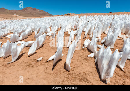 Eis Formationen durch Erosion in der Siloli Wüste zwischen der Atacama-Wüste von Chile und den Salzsee von Uyuni, Bolivien, Südamerika zu wickeln. Stockfoto