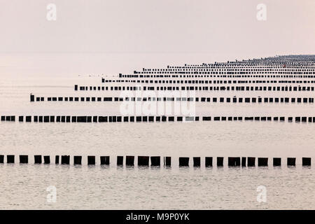 Buhnen, einer hinter dem anderen, Ostsee Strand in der Nähe von Zingst, Fischland-Darß-Zingst, Nationalpark Vorpommersche Boddenlandschaft Stockfoto