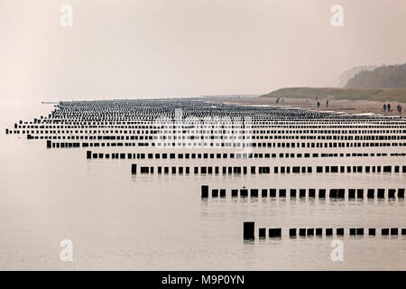 Buhnen, einer hinter dem anderen, Ostsee Strand in der Nähe von Zingst, Fischland-Darß-Zingst, Nationalpark Vorpommersche Boddenlandschaft Stockfoto