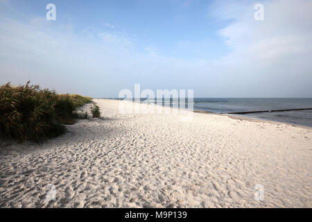 Ostsee Strand im Ostseebad Zingst, Fischland-Darß-Zingst, Nationalpark Vorpommersche Boddenlandschaft Stockfoto