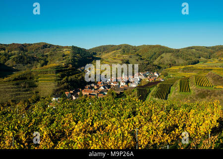 Dorf in der Weinberge im Herbst, Schelingen, Kaiserstuhl, Baden-Württemberg, Deutschland Stockfoto