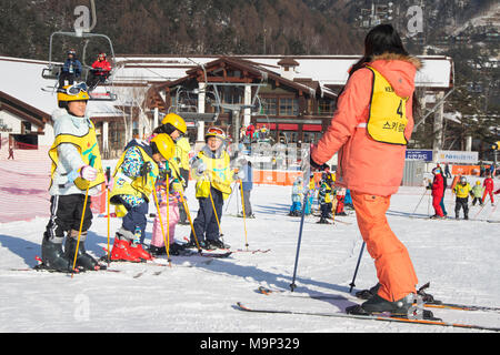 Ein Skilehrer und eine Gruppe von asiatischen Kindern an einem bunny Neigung von yongpyong. Das Yongpyong-resort (Dragon Valley) Ski Resort ist ein Skigebiet in Südkorea, in Daegwallyeong-myeon, Pyeongchang, Gangwon-do. Es ist die größte Ski- und Snowboard Resorts in Korea. Das Yongpyong-resort bewirten die technischen Ski alpin Veranstaltungen für die olympischen Winterspiele und Paralympics 2018 in Pyeongchang. Einige Szenen der 2002 Korean Broadcasting System drama Winter Sonata wurden im Resort gedreht. Stockfoto