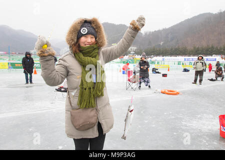 Eine Frau zeigt gerne einen Fisch, die Sie während des Eis angeln Festival an Hwacheon Sancheoneo gefangen in der Gangwon-do-Region von Südkorea. Die Hwacheon Sancheoneo Ice Festival ist eine Tradition für die Menschen in Korea. Jedes Jahr im Januar Menschenmassen versammeln sich auf dem zugefrorenen Fluss der Kälte und dem Schnee des Winters zu feiern. Hauptattraktion ist Eisfischen. Jung und Alt warten geduldig auf ein kleines Loch im Eis für eine Forelle zu beißen. In zelten Sie können den Fisch vom Grill, nach dem sie gegessen werden. Unter anderem sind Rodeln und Eislaufen. Die in der Nähe Pyeongchang Region wird Gastgeber der Olympischen Winterspiele Stockfoto