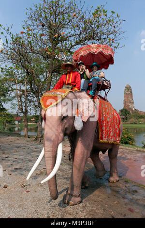 Touristen fahren mit geschmückten Elefanten in Ayutthaya Historical Park, Ayutthaya, Thailand Stockfoto