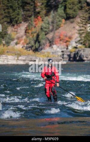 Männliche Stand up paddleboarding am Snake River in Jackson, Wyoming Stockfoto