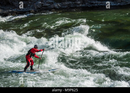 Männliche Stand up paddleboarding am Snake River in Jackson, Wyoming Stockfoto