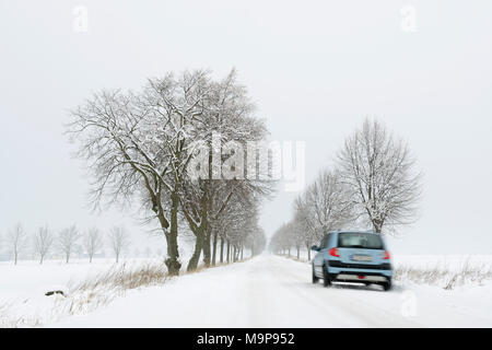 Auto fährt auf verschneiter Straße, Allee im Winter, Burgenlandkreis, Sachsen-Anhalt, Deutschland Stockfoto