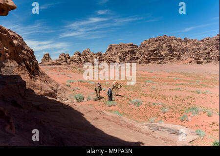 Beduinen wandern mit Kamel in Wadi Rum, das Tal des Mondes, ist ein Tal in den Sandstein und Granit im südlichen Jordanien. Stockfoto