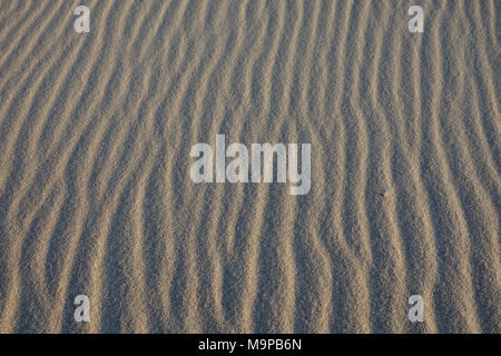 Wellen im Sand, Sand Struktur, Wellenmuster, Sylt, Nordfriesland, Schleswig-Holstein, Deutschland, Hintergrundbild Stockfoto