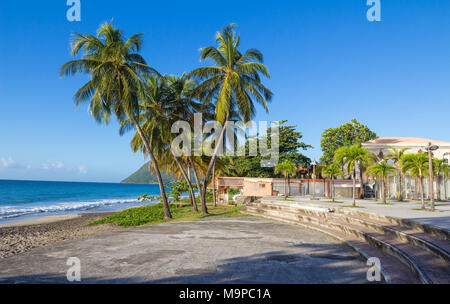 Die Palmen am karibischen Strand, Martinique Insel. Stockfoto