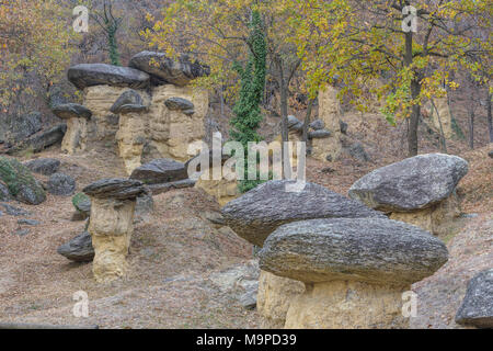 Stein Pilze, Ciciu del Villar, Villar San Costanzo, Piemont, Italien Stockfoto