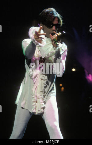 NEW YORK, NY - 20. August: Prince führt im Madison Square Garden am 20. August 1995 in New York Menschen: Prinz Stockfoto