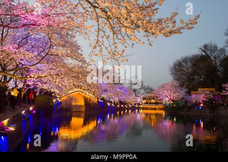 Wuxi in der chinesischen Provinz Jiangsu. 27 Mär, 2018. Touristen Ansicht kirschblüten am Taihu See in Wuxi in der Provinz Jiangsu im Osten Chinas, 27. März 2018. Credit: Pan Zhenggguang/Xinhua/Alamy leben Nachrichten Stockfoto