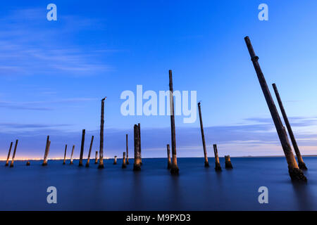 Stapel von einem verfallenen Pier im Wasser in der Dämmerung, Pelican Point, Walvis Bay, Erongo Region, Namibia Stockfoto