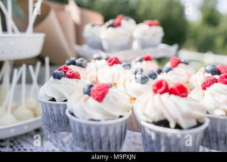 Satz verschiedene leckere leckere Muffins mit Beeren im Sommer Hintergrund. Verschiedene dessert Törtchen mit Sahne und frischem Heidelbeere und Himbeere. Selektive konzentrieren. Candy Bar Konzept Stockfoto