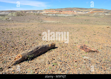 Wüste Landschaft mit versteinerten Baumstamm, Bosque Petrificado Jose Ormachea, Sarmiento, Chubut, Argentinien Stockfoto