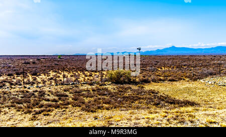 Die Halbwüste Karoo Region in der Provinz Eastern Cape in Südafrika mit einer einsamen wind-Pumpe in der Mitte von Nirgendwo in der trockenen Landschaft Stockfoto