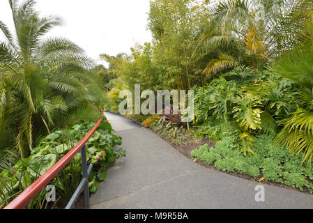 Eine gekrümmte Gehweg in einem Garten an einem bewölkten Tag Stockfoto