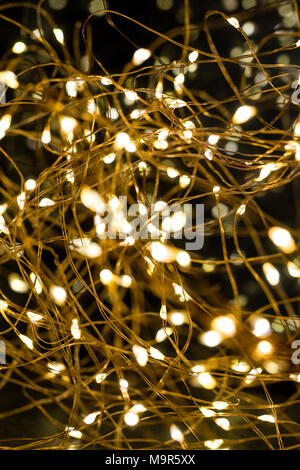 Cluster von Micro LED-string leuchtet. Flache Tiefenschärfe, Unscharf verschwommen. Stockfoto