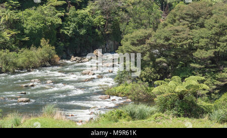 Ohinemuri Fluss durch die Karangahake Gorge in Neuseeland fließende Stockfoto