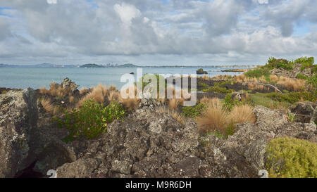 Blick über den Golf von Hauraki aus Flachs Punkt in Rangitoto Island, Neuseeland Stockfoto