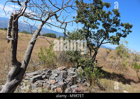 Ixpantepec nieves Oaxaca Stockfoto