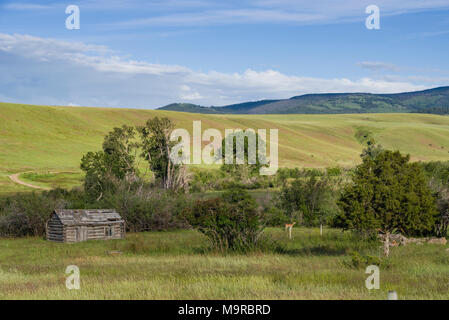 Blockhaus in ländlichen Montana mit Gras bewachsenen Wiese oder praire Stockfoto