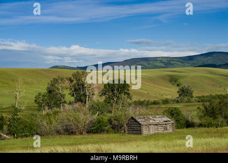 Blockhaus in ländlichen Montana mit Gras bewachsenen Wiese oder praire Stockfoto