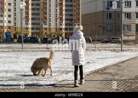 Frau ist Wandern mit Hund im Winter in der Stadt Stockfoto