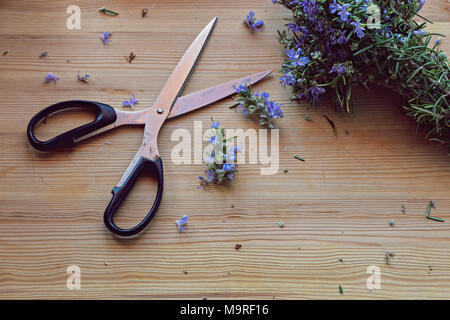 Close up, Top Shot von frischen, mediterranen Kräutern Bouquet, Rosmarin auf rustikalen Holztisch, selektiver Fokus, Platz für Text, minimale Essen Konzept Stockfoto