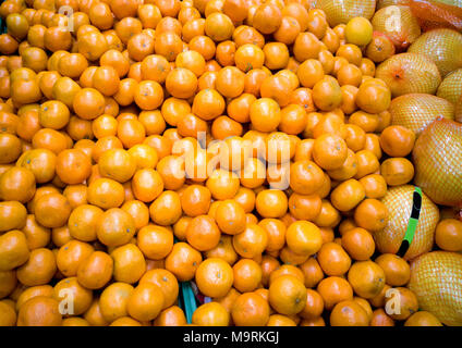 Eine Menge Orangen und Grapefruits sind auf das Schaufenster. Stockfoto