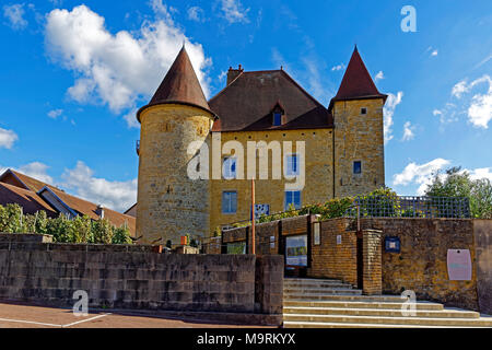 Europa, Frankreich, Jura (Frankreich - Comté), Arbois rue des Fossés, Château Pécauld, Wein Museum, das Musée de la Vigne et du Vin, Gebäude, Sehenswürdigkeit, Stockfoto