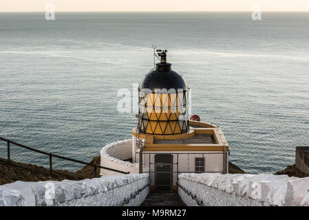 Dieser Leuchtturm an der Spitze einer felsigen Landzunge, wie St. Abbs Head bekannt liegt an der Ostküste von Schottland. Der Leuchtturm entworfen und Bui Stockfoto