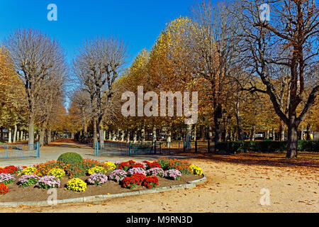 Europa, Frankreich, Auvergne, Vichy, Rue du Parc, Parc der Quellen, Park der Federn, Blumenbeet, Herbst, Farbe der Blätter, historisch, Gesundheit Stockfoto