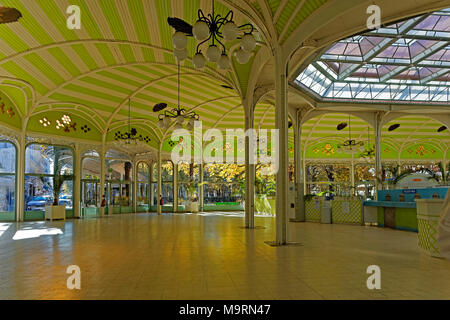 Europa, Frankreich, Auvergne, Vichy, avenue Thermale, Galerie der Quellen, Pumpenraum der Federn, Architektur, Gesundheit, historisch, Inside, Ort Stockfoto