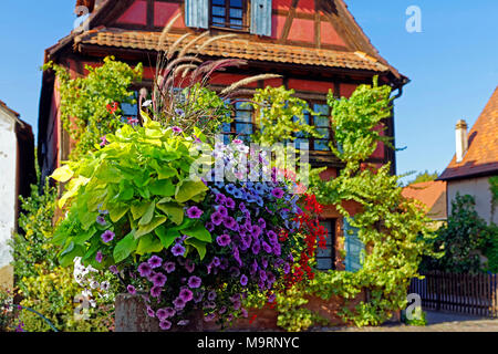 Europa, Frankreich, Rhein, Bas (Elsass), das Weiße Schloss, Wissembourg, Faubourg de Bitche, Blumen, Haus, typisch, Architektur, Gebäude, historicall Stockfoto