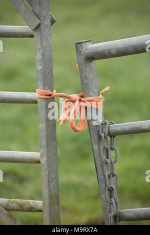 Die Landwirte Tor befestigt mit Ballenpresse Garn, Dorset UK Stockfoto