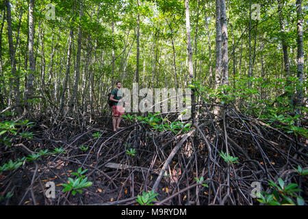 Ein Mann in einigen Mangroven, Kudat, Sabah, Malaysia, Borneo, Stockfoto