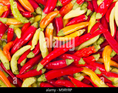 Viele frische rote und grüne Paprika Stockfoto