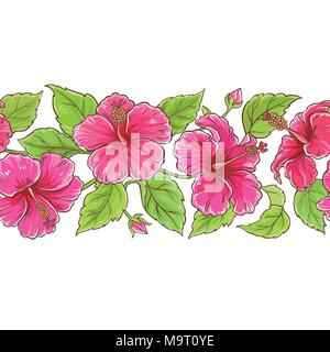 Hibiskus Blumen vektor Muster auf weißem Hintergrund Stock Vektor