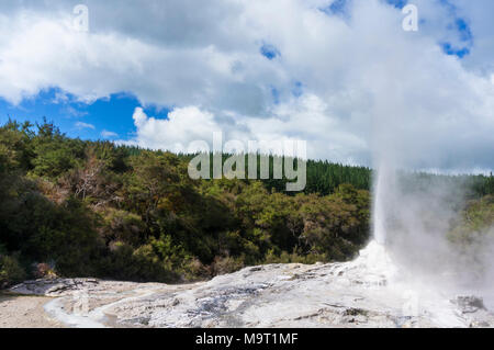 Neuseeland Wai-o-Tapu Thermal Wonderland rotorua Lady Knox Geysir Neuseeland Neuseeland Rotorua Waiotapu Stockfoto