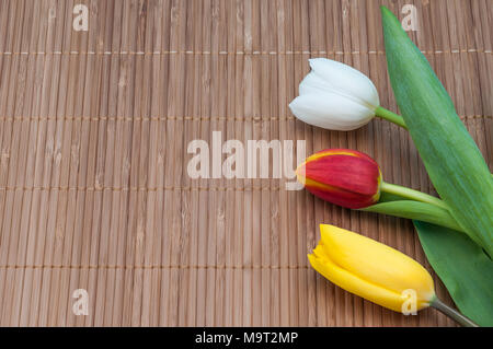 Auf der Bambus Matte auf der rechten Seite gibt es drei Tulpen Rot, Gelb und Weiß. Stockfoto