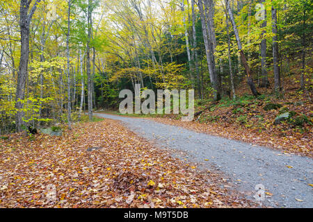 Herbst Laub entlang Tunnel Bach Straße in Benton, New Hampshire während der Herbstmonate. Stockfoto