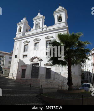 San Miguel Kirche hinter einer Palme und Kopfsteinpflaster im Bezirk Alfama, die bekanntesten und ältesten typischen Viertel von Lissabon. Portugal Stockfoto