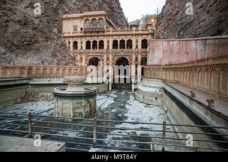 Galta Affe Palace / Tempel - Jaipur, Rajasthan, Indien Stockfoto
