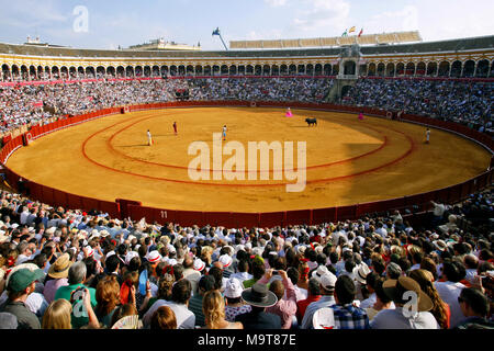 Stierkampf während der Feria de Abril in Sevilla Fair, die Plaza de Toros de la Real Maestranza de Caballería de Sevilla Stierkampfarena, Sevilla, Spanien Stockfoto