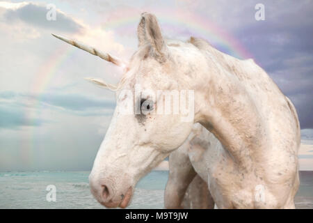 Fotorealistische Einhorn zu Fuß durch den Ozean mit Regenbogen Himmel Stockfoto